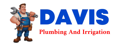 Trusted plumber in POLLOCK